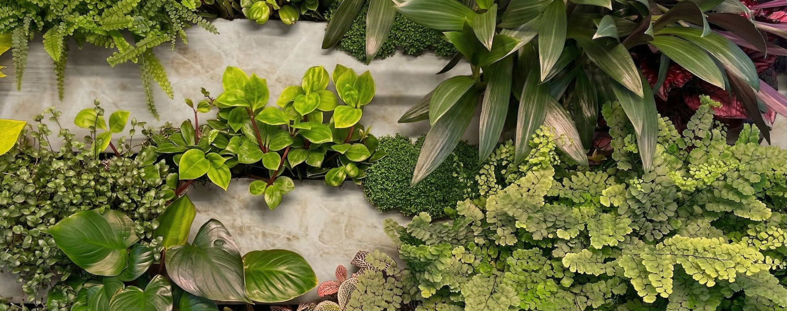 LeafyPanel Banner White Marble render