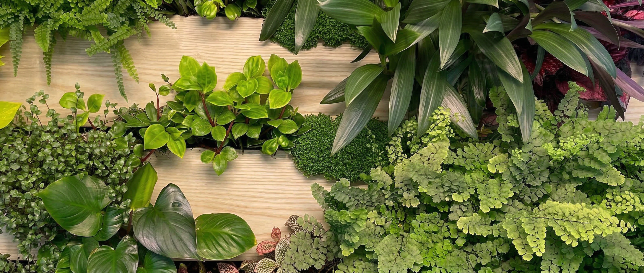 LeafyPanel Banner Wood render